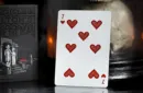 Ace Fulton's Day of the Dead Playing Cards by Art of Play – Image 5