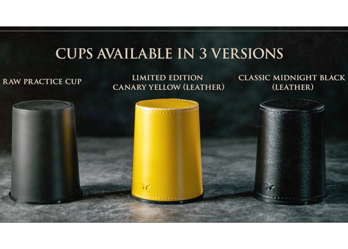 How to Cheat at Dice Gray Raw Cup (Props and Online Instructions)  by Zonte and SansMinds