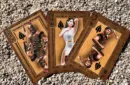 Gilded Trojan War Playing Cards – Bild 4