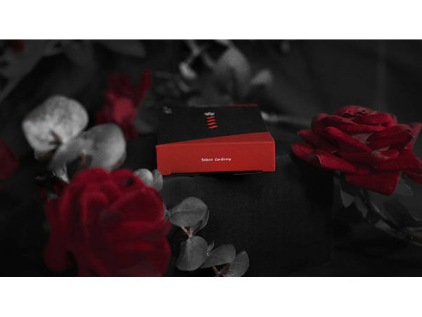 YUCI Soloist Playing Cards by TCC
