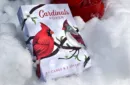 Cardinals Playing Cards by Midnight Cards – Image 1