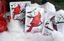 Cardinals Playing Cards by Midnight Cards – Image 6