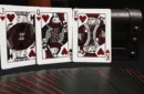 Bicycle Webbed Playing Cards by US Playing Card Co. – Image 4