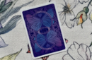 Httpswww magicshop chmediacatalogproductsisimple cardsbicbut viogld 6 png