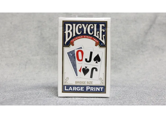 Bicycle Bridge (Blue) Large Print by USPCC