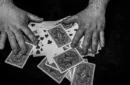 FREEDOM OF EXPRESSION by Dani DaOrtiz - BOOK – Image 3