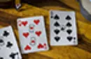 Roasters Coffee Shop Playing Cards – Image 11