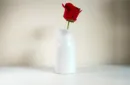 Snowflake Vase by Leon and Leno – Bild 2
