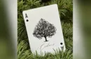 Cedar Playing Cards – Image 6