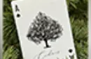 Cedar Playing Cards – Image 7