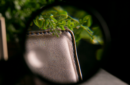 Httpswww magicshop chmediacatalogproductsisimple easymoneybrown 6 png