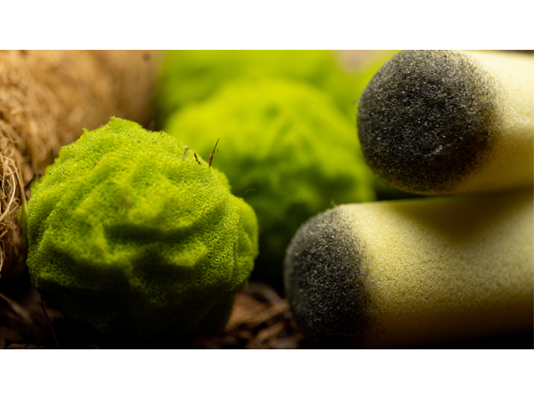 Cannabis Sponge Balls and Never Ending Spliffs (Gimmicks and Online Instructions) by Adam Wilber