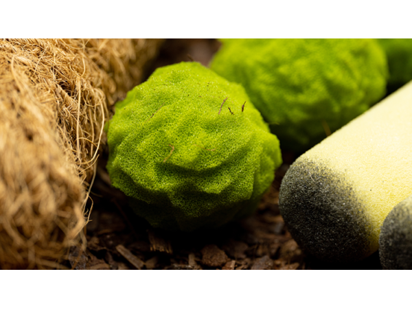Cannabis Sponge Balls and Never Ending Spliffs (Gimmicks and Online Instructions) by Adam Wilber