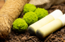 Httpswww magicshop chmediacatalogproductsisimple cannabisspo 4 png