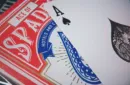 The Zenith Deck (Gimmick and Online Instructions) by Manoj Kaushal – Image 2