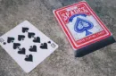 The Zenith Deck (Gimmick and Online Instructions) by Manoj Kaushal – Image 3