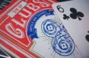 The Zenith Deck (Gimmick and Online Instructions) by Manoj Kaushal – Image 4