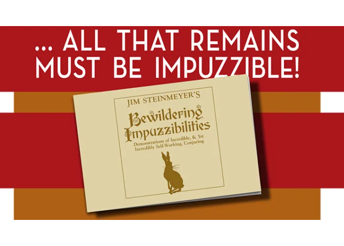 Bewildering Impuzzibilities by Jim Steinmeyer - Book
