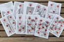 Limited Edition Cotta's Almanac #3 Transformation Playing Cards – Bild 3