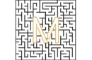 VERTICAL LAB PUZZLE (Difficult) by MyMagic - Trick – Image 4