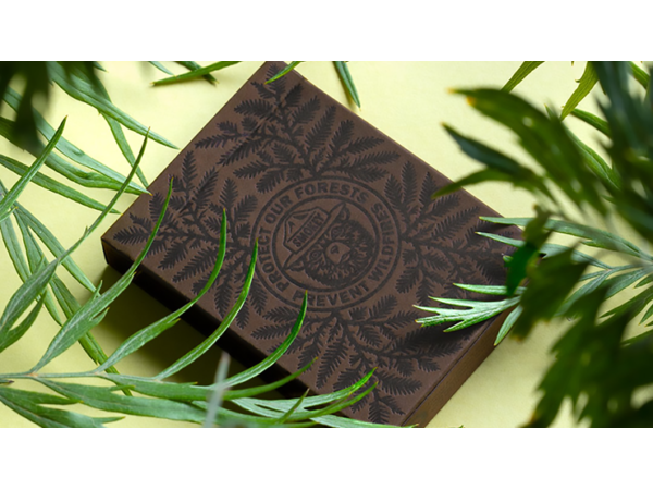 Smokey Bear Limited Edition Playing Cards by Art of Play