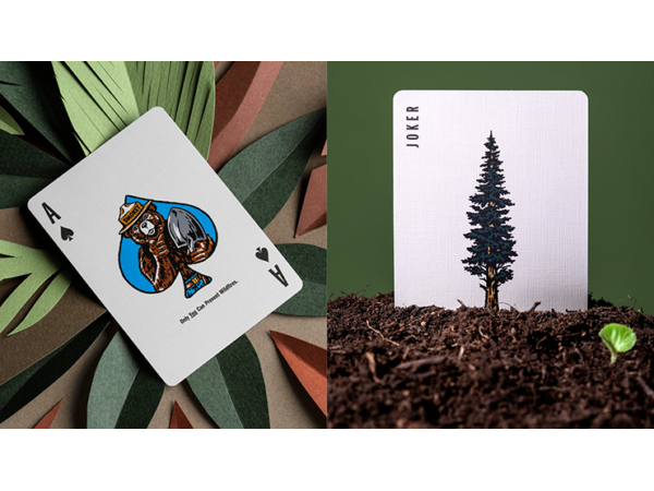 Smokey Bear Limited Edition Playing Cards by Art of Play