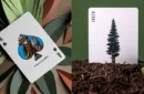 Smokey Bear Limited Edition Playing Cards by Art of Play – Image 6