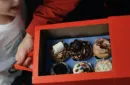 MAGIC BOX RED Large by George Iglesias and Twister Magic – Image 3