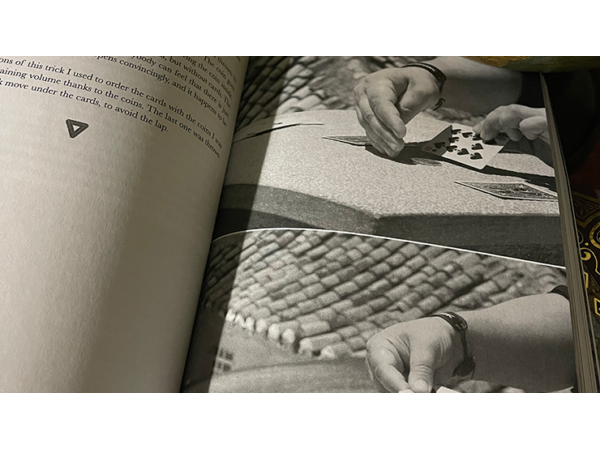 Perception Shaped as a Coin by Miguel Angel Gea - Book