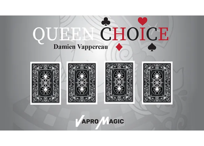Find The Queen by Damien Vappereau