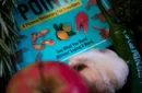 To the Point by Mark Lemon - Book – Image 3