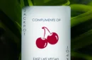 Cherry Casino House Deck Playing Cards (Sahara Green) – Bild 4