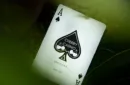 Cherry Casino House Deck Playing Cards (Sahara Green) – Bild 6