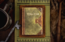Httpswww magicshop chmediacatalogproductsisimple cardsrobinhood 1 png