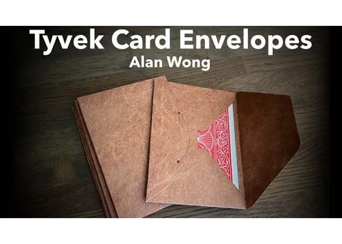 Tyvek Card Envelopes 10 pk. BROWN by Alan Wong