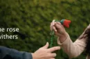DROPPING FLOWER by Mago Rigel & Twister Magic – Bild 3