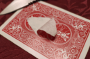 Httpswww magicshop chmediacatalogproductsisimple cannibalkng 2 png