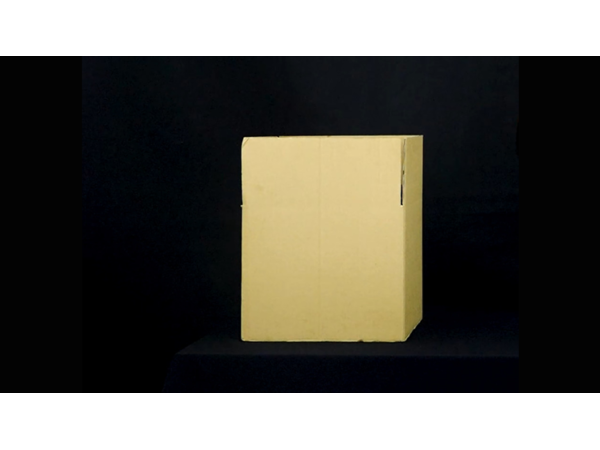 AMAZING CARTON by 7 MAGIC