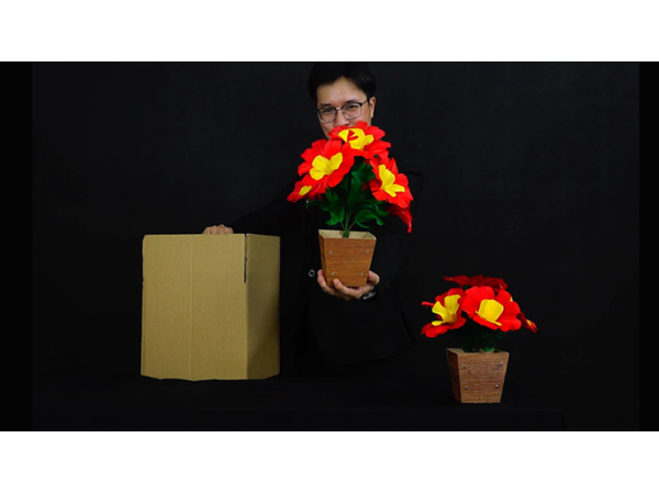 AMAZING CARTON by 7 MAGIC