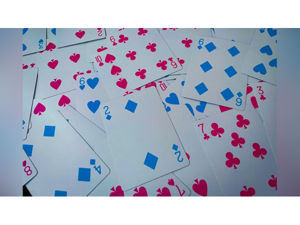 In Session (Sophomore Year) Playing Cards