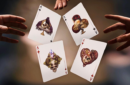 Httpswww magicshop chmediacatalogproductsisimple cardstalen 4 png