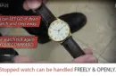 TEMPUS (Gimmick and Online Instructions) by Menny Lindenfeld – Bild 4