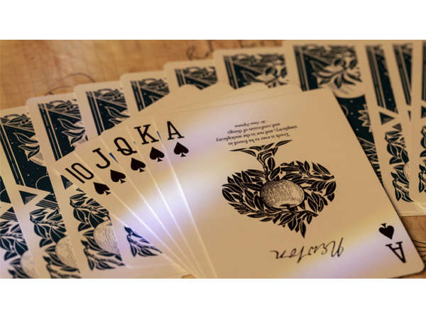 Opticks Box Set (Deck with Online Instructions) by Harapan Ong