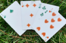Httpswww magicshop chmediacatalogproductsisimple cardsgrass drkj 6 png