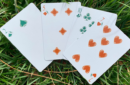 Httpswww magicshop chmediacatalogproductsisimple cardsgrass lgto 6 png