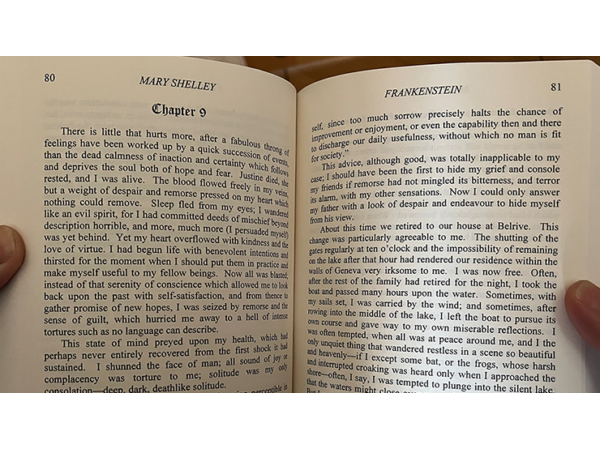 Facsimile (Frankenstein) by Michael Daniels