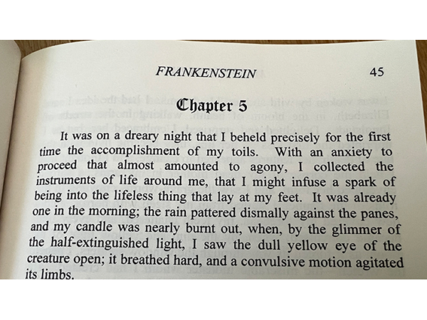 Facsimile (Frankenstein) by Michael Daniels