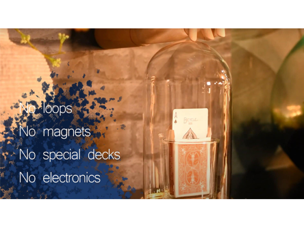 Bluetooth (Red) - Sirus Magic & Premium Magic Store / Kartensteiger