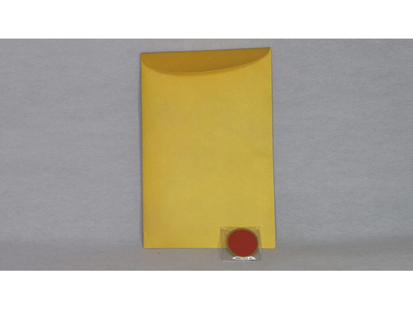 DOWN TO ONE (Gimmicks & Online Instructions) by Jon Allen