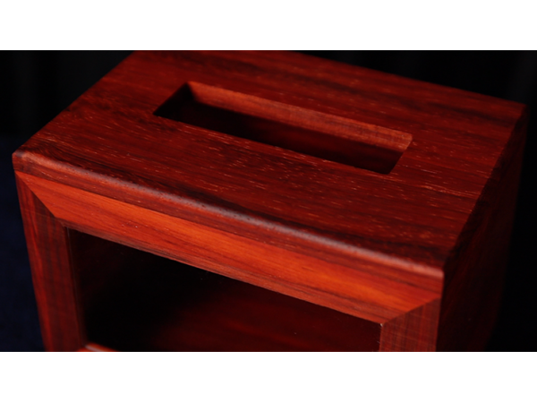 Quantum (Gimmicks and Online Instructions) by Pen & MS Magic